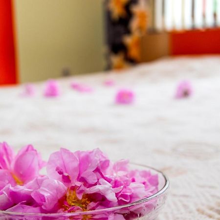 Family Hotel Kavrakovi パヴェル・バニャ エクステリア 写真